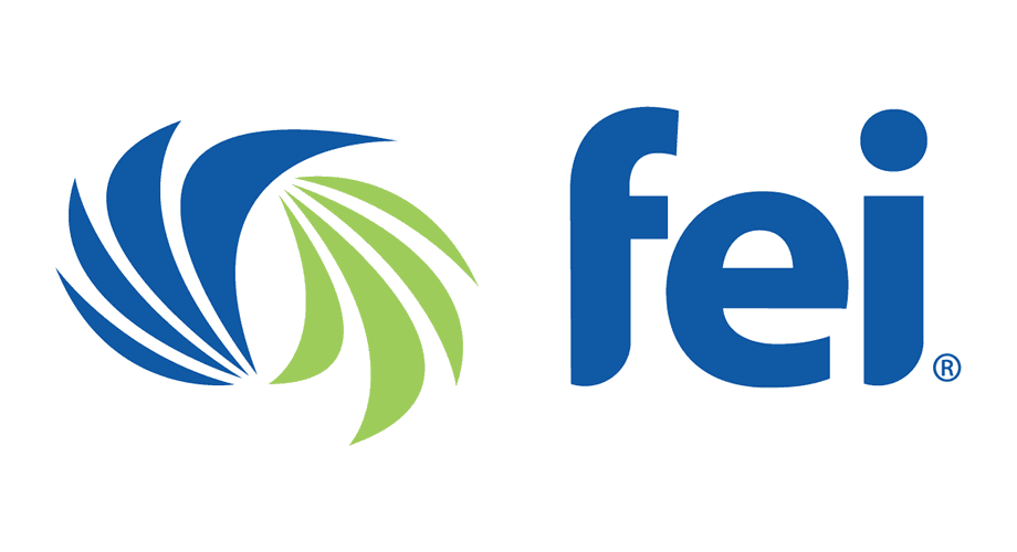 fei-logo.png