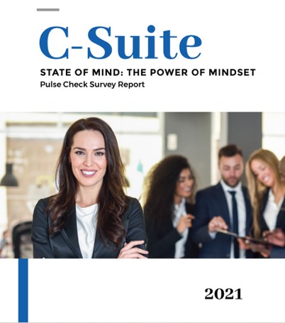 C-Suite Pulse Check Report